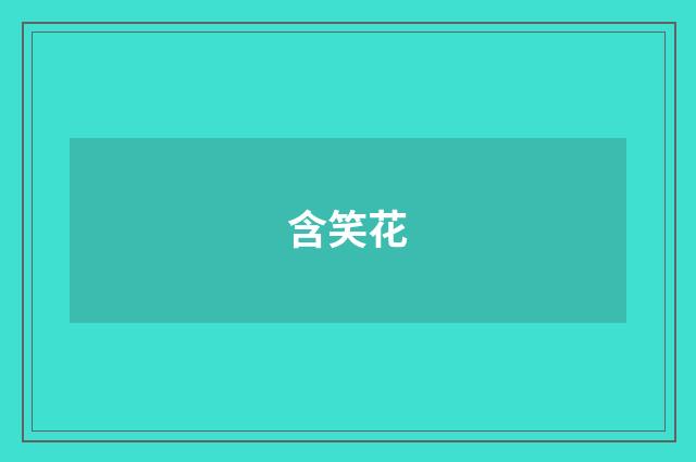 含笑花