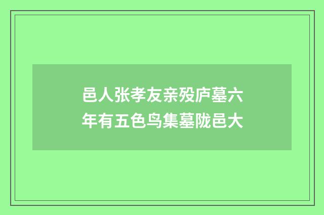 邑人张孝友亲殁庐墓六年有五色鸟集墓陇邑大