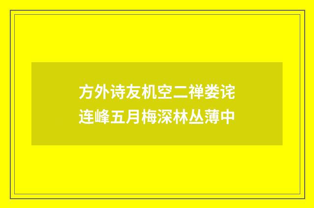 方外诗友机空二禅娄诧连峰五月梅深林丛薄中
