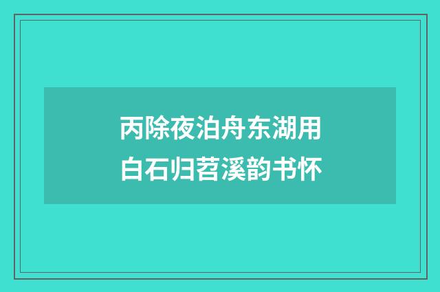 丙除夜泊舟东湖用白石归苕溪韵书怀