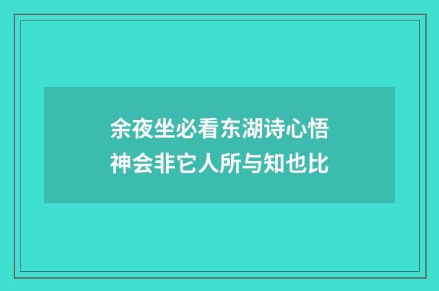 余夜坐必看东湖诗心悟神会非它人所与知也比