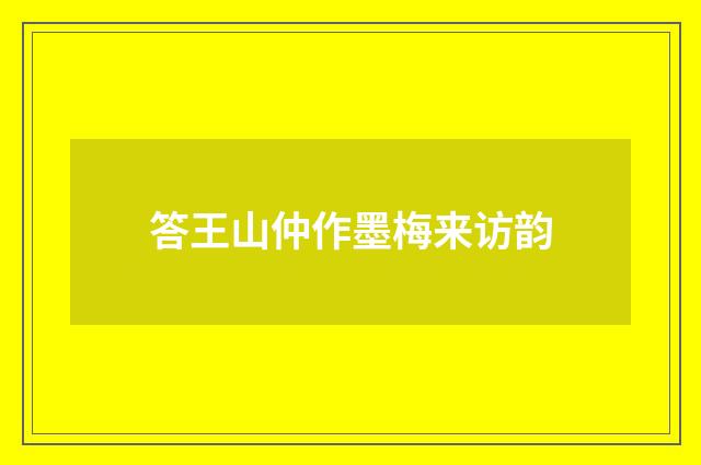 答王山仲作墨梅来访韵
