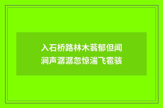 入石桥路林木蓊郁但闻涧声潺潺忽惊湍飞雹骇