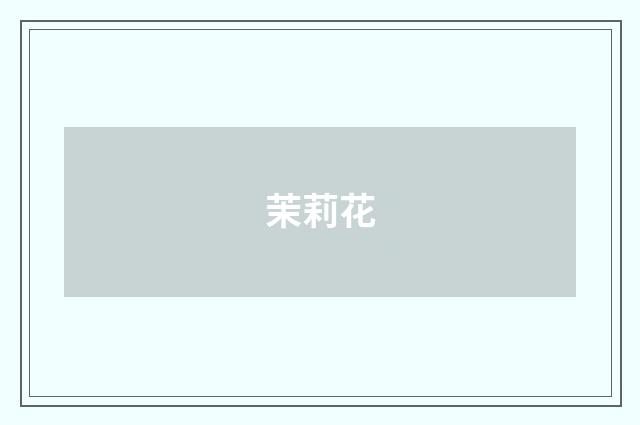 茉莉花