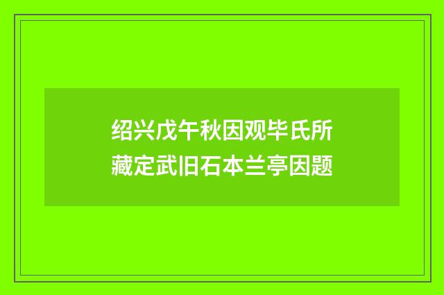 绍兴戊午秋因观毕氏所藏定武旧石本兰亭因题