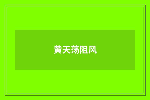 黄天荡阻风