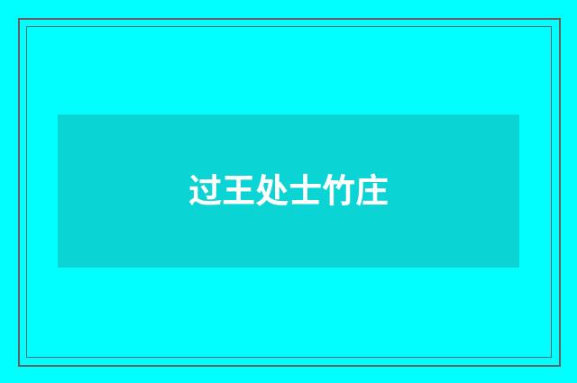 过王处士竹庄