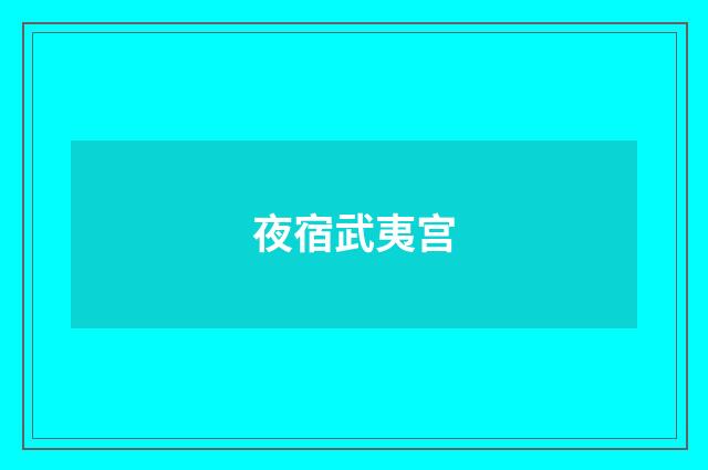 夜宿武夷宫