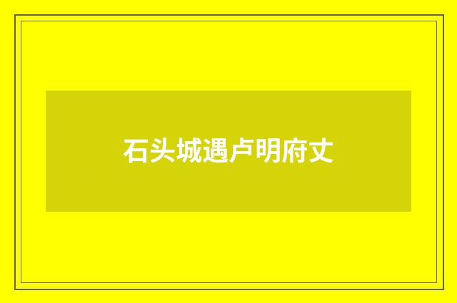石头城遇卢明府丈