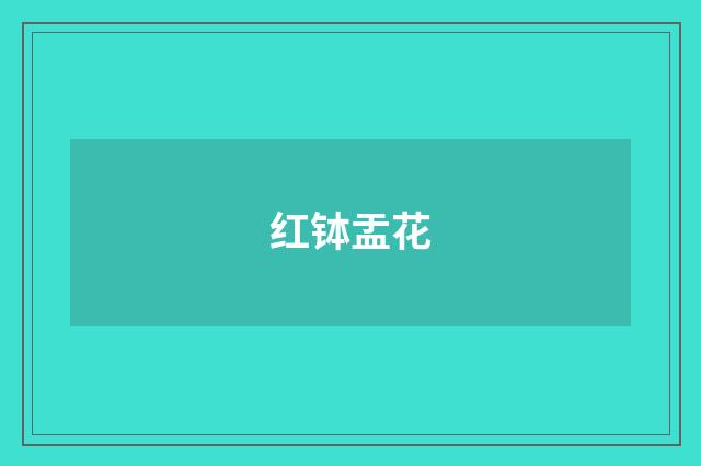 红钵盂花