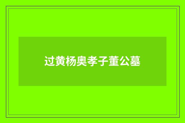 过黄杨奥孝子董公墓
