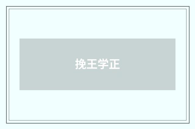 挽王学正