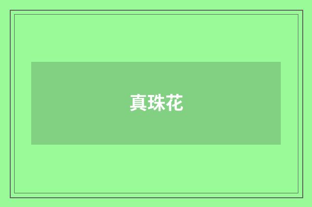 真珠花