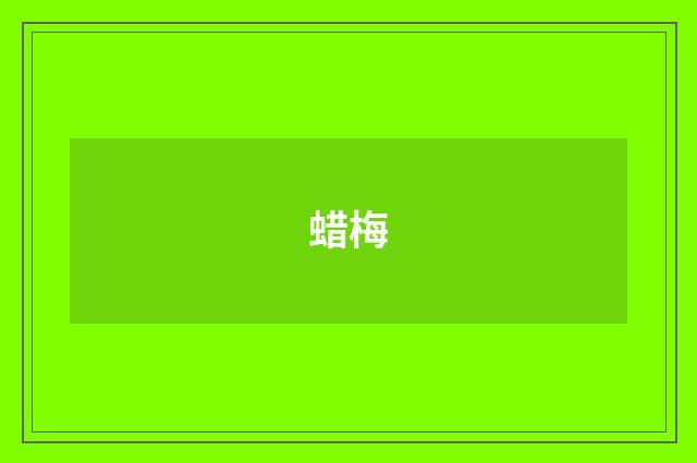 蜡梅