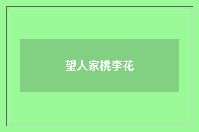 望人家桃李花