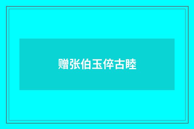 赠张伯玉倅古睦