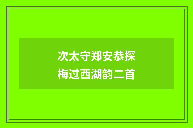 次太守郑安恭探梅过西湖韵二首