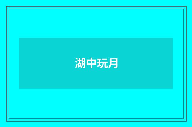 湖中玩月
