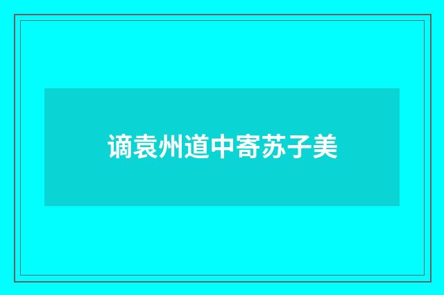 谪袁州道中寄苏子美