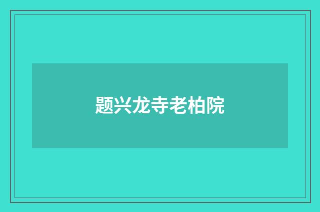 题兴龙寺老柏院