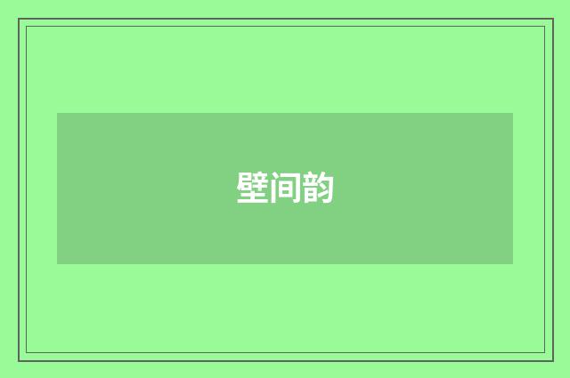 壁间韵