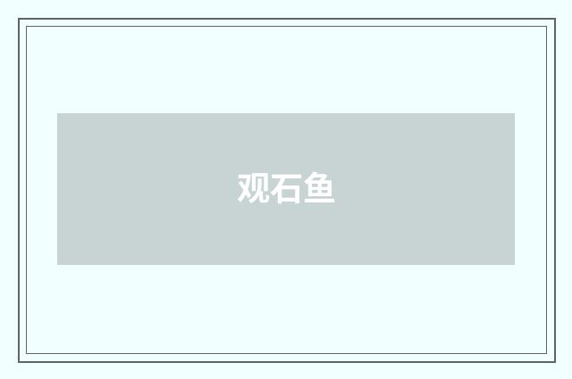 观石鱼