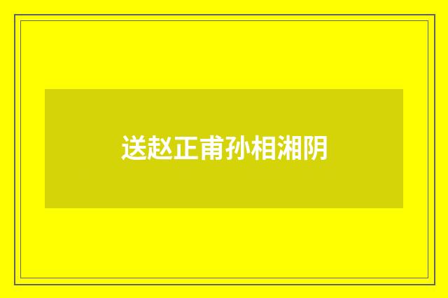 送赵正甫孙相湘阴
