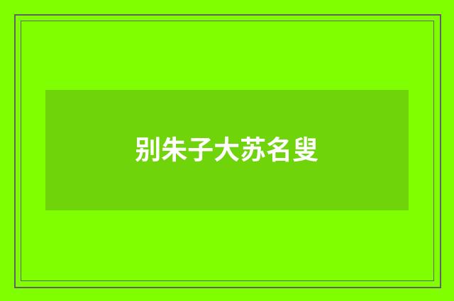 别朱子大苏名叟