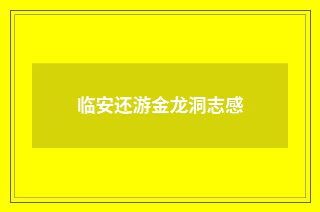 临安还游金龙洞志感