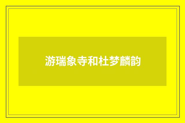 游瑞象寺和杜梦麟韵
