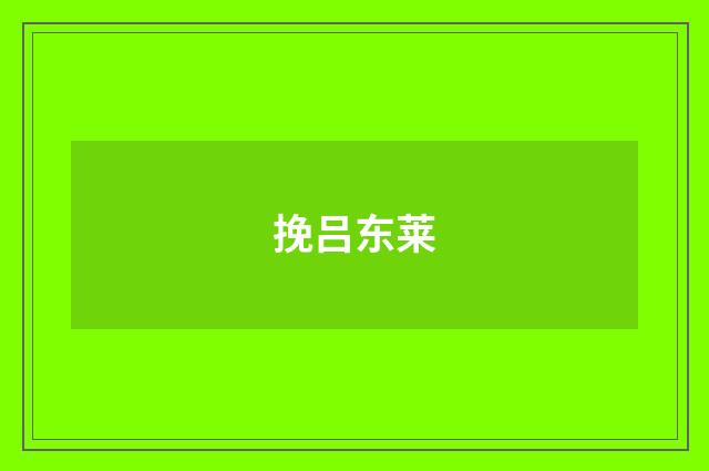 挽吕东莱