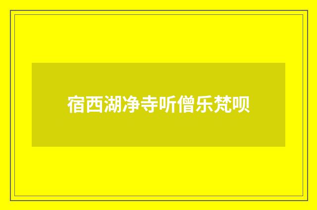 宿西湖净寺听僧乐梵呗