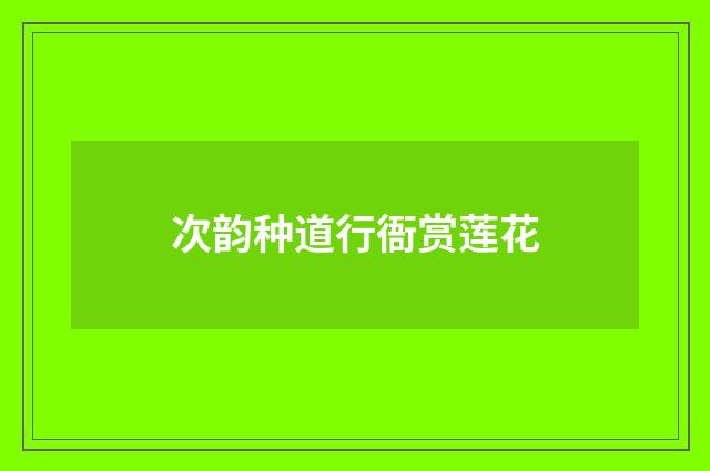 次韵种道行衙赏莲花