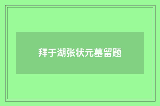 拜于湖张状元墓留题