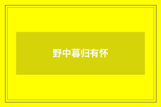 野中暮归有怀