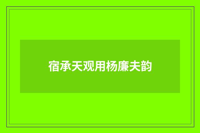 宿承天观用杨廉夫韵