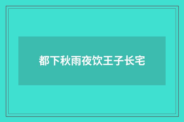 都下秋雨夜饮王子长宅