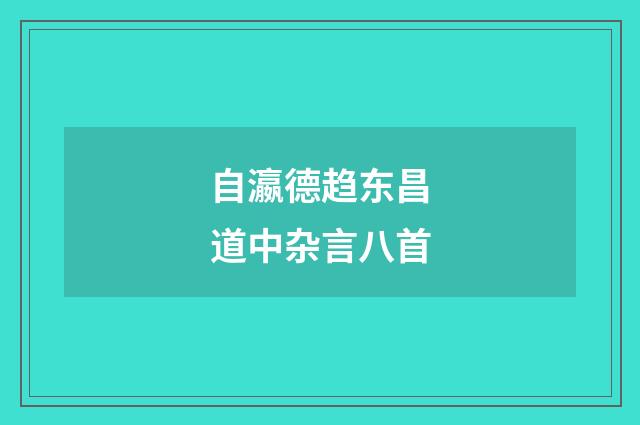 自瀛德趋东昌道中杂言八首