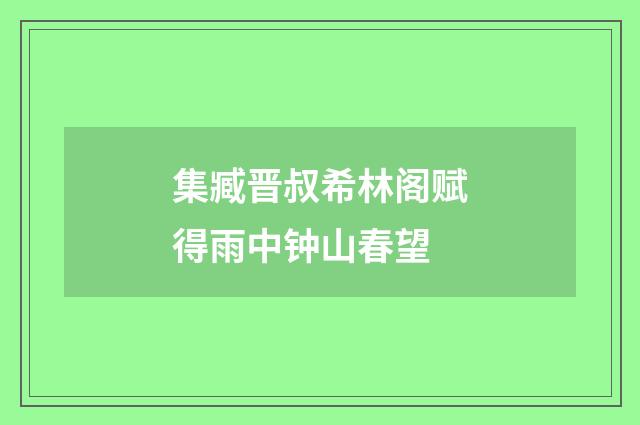 集臧晋叔希林阁赋得雨中钟山春望