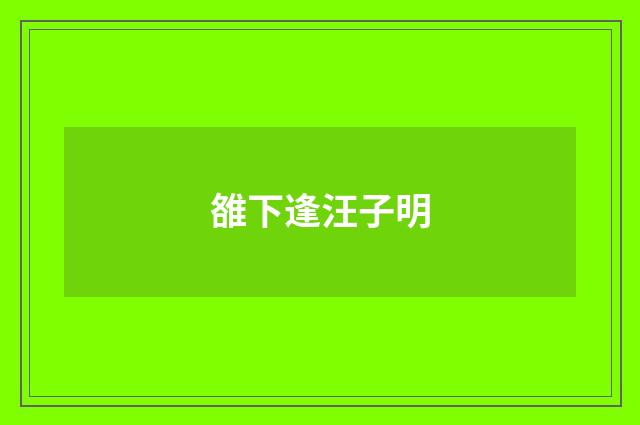 雒下逢汪子明