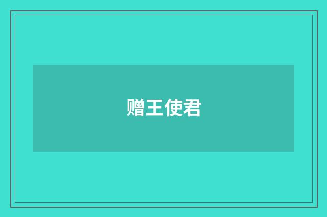 赠王使君