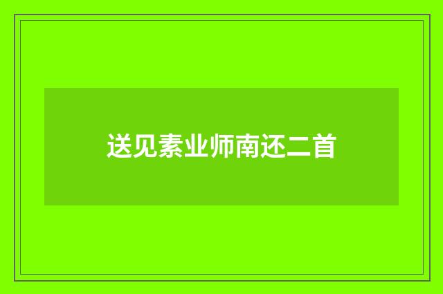 送见素业师南还二首