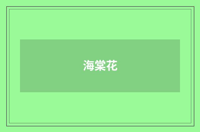 海棠花