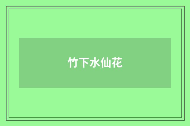 竹下水仙花