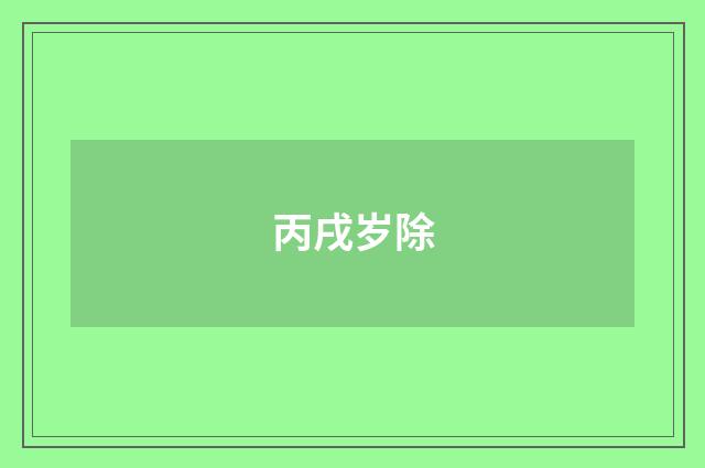 丙戌岁除