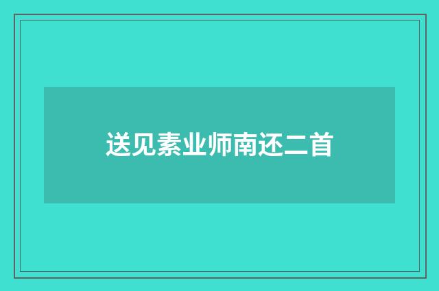 送见素业师南还二首