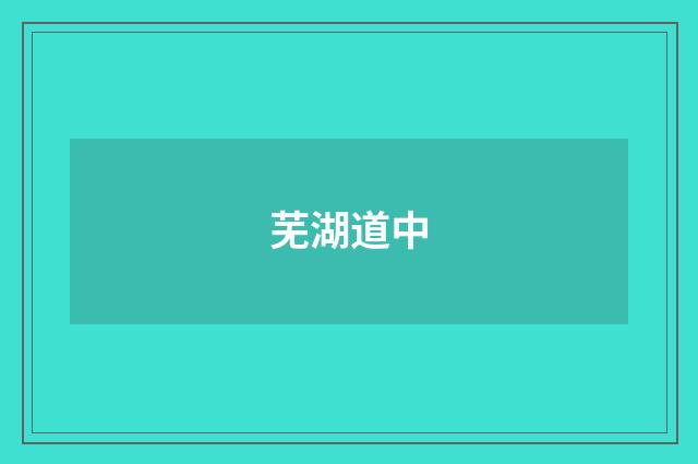 芜湖道中