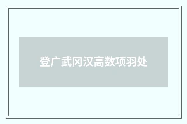登广武冈汉高数项羽处