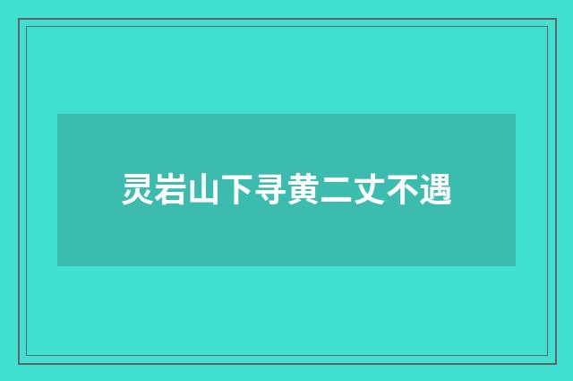 灵岩山下寻黄二丈不遇