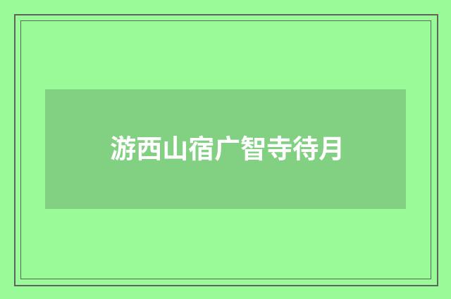 游西山宿广智寺待月